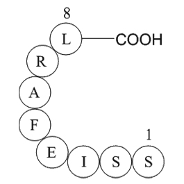 Glycoprotein B(485-492)ͼƬ