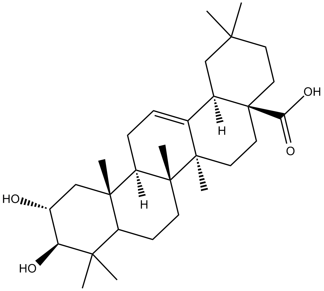 Maslinic AcidͼƬ