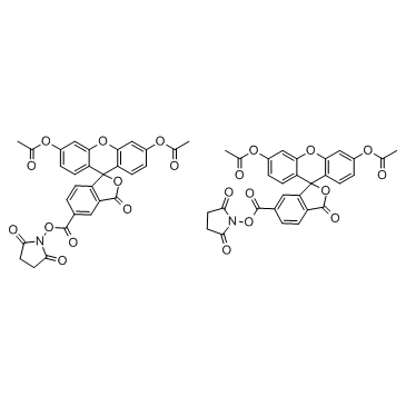 CFSE(5(6)-Carboxyfluorescein diacetate succinimidyl esterCFDA-SE)ͼƬ