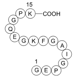 type II collagen fragmentͼƬ