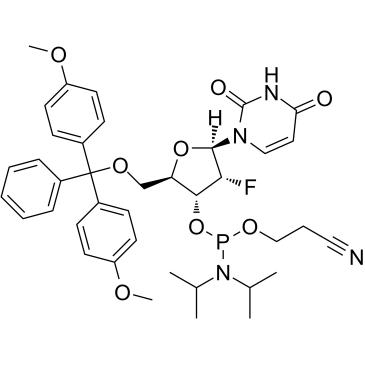 DMT-2Fluoro-dU PhosphoramiditeͼƬ