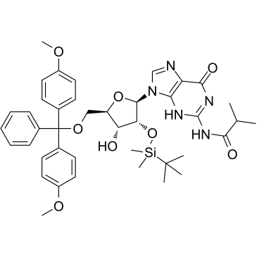 5'-O-DMT-2'-O-iBu-N-Bz-GuanosineͼƬ