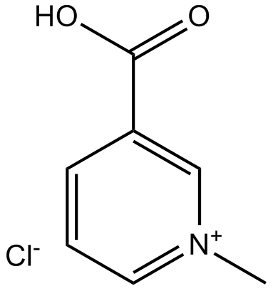 Trigonelline HydrochlorideͼƬ