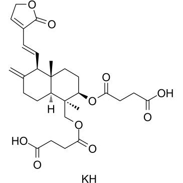 Kalii Dehydrographolidi SuccinasͼƬ