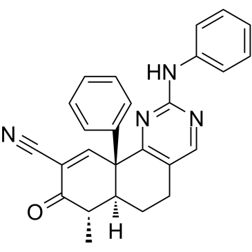 IDH1 Inhibitor 2ͼƬ