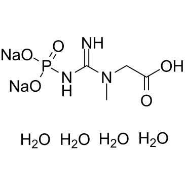 Phosphocreatine disodium tetrahydrateͼƬ