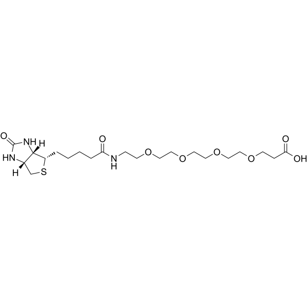 Biotin-PEG4-acidͼƬ