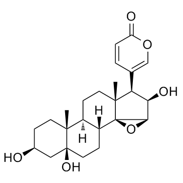 Desacetylcinobufotalin(Deacetylcinobufotalin)ͼƬ