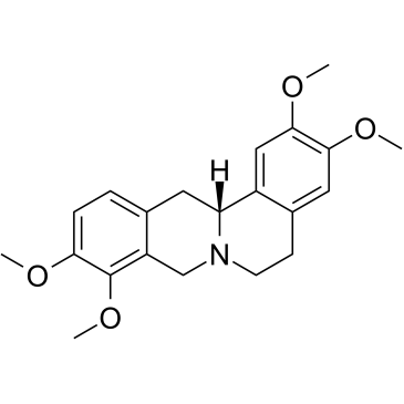 D-TetrahydropalmatineͼƬ