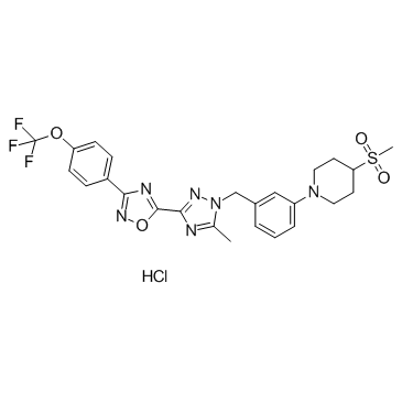 IACS-10759 HydrochlorideͼƬ