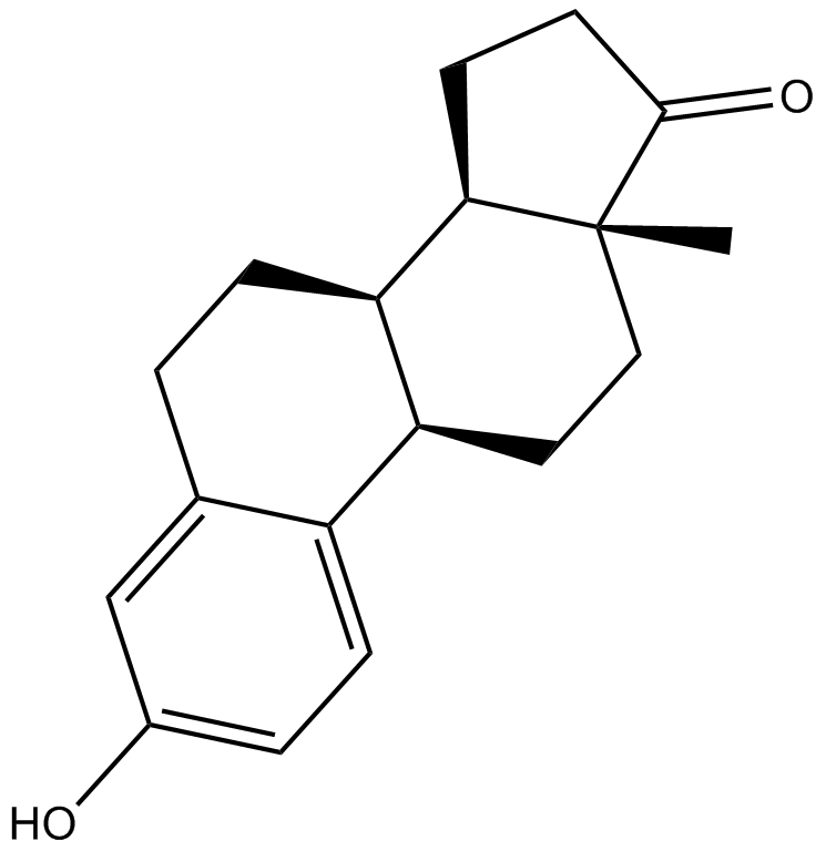 EstroneͼƬ