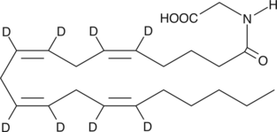 Arachidonoyl Glycine-d8ͼƬ