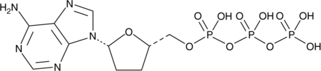 2',3'-Dideoxyadenosine 5'-triphosphateͼƬ