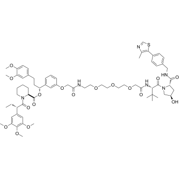 PROTAC FKBP Degrader-3ͼƬ