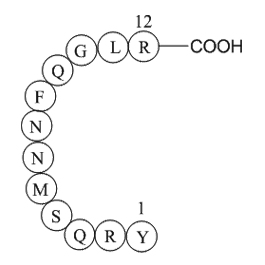 Adrenomedullin(1-12),humanͼƬ