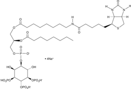 PtdIns-(3,4,5)-P3-biotin(sodium salt)ͼƬ