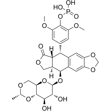 Etoposide phosphateͼƬ