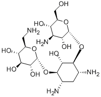 KanamycinͼƬ