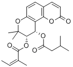 praeruptorin CͼƬ