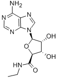 5'-N-EthylcarboxamidoadenosineͼƬ