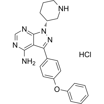 Btk inhibitor 1 R enantiomer hydrochlorideͼƬ