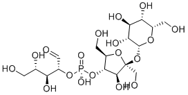 AgrocinopineͼƬ