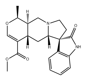 MitraphyllineͼƬ