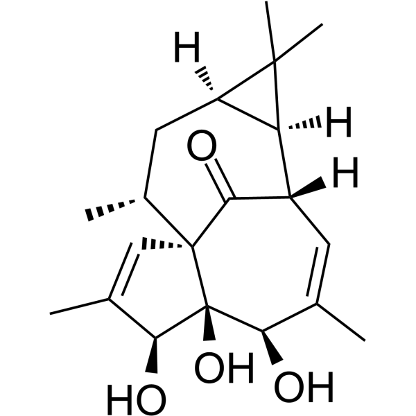 20-DeoxyingenolͼƬ