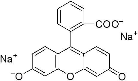 Fluorescein SodiumͼƬ