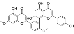 GinkgetinͼƬ