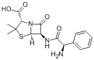 AmpicillinͼƬ