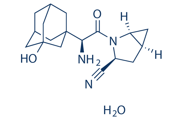 Saxagliptin hydrateͼƬ