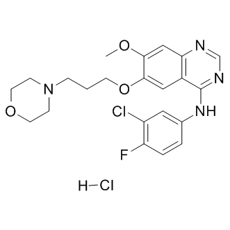 Gefitinib HClͼƬ