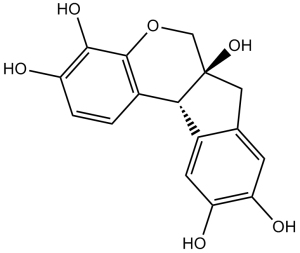 Hematoxylin(Haematoxylin)ͼƬ