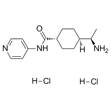 Y-27632 dihydrochlorideͼƬ