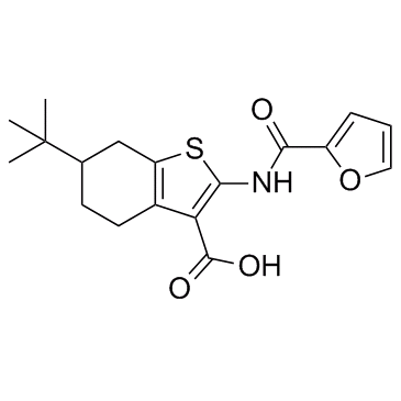 CaCCinh-A01ͼƬ