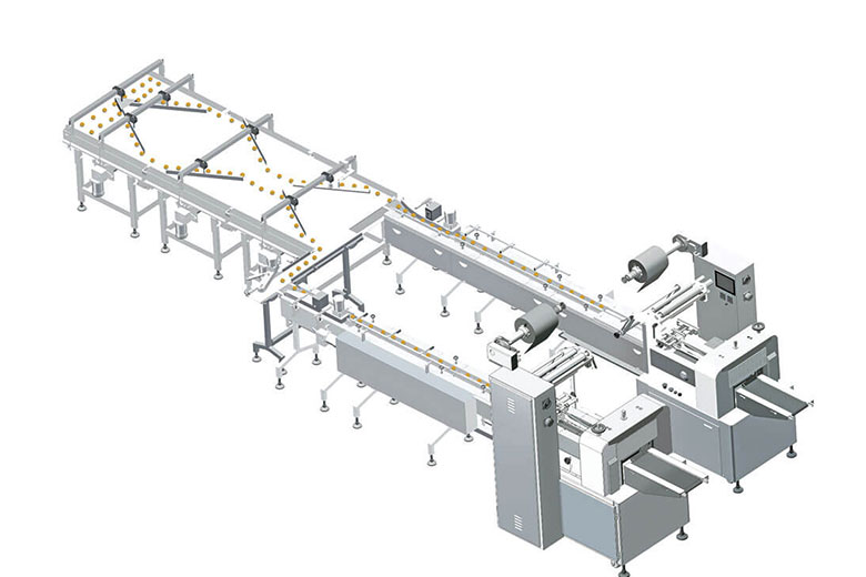 CB-420V Fish and Seafood Packaging MachineͼƬ