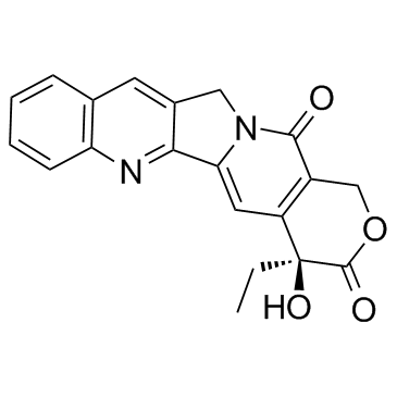 Camptothecin(Campathecin(S)-(+)-Camptothecin CPT)ͼƬ