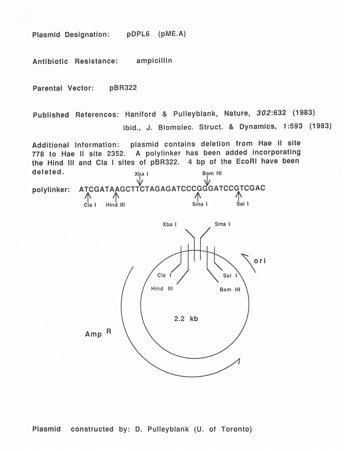 pME.A (pDPL6)ͼƬ