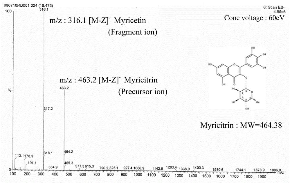 Myricetin-3-O-alpha-rhamnosideͼ2