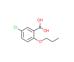 (5-Chloro-2-propoxyphenyl)boronic acid