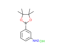 3-(4,4,5,5-Tetramethyl-1,3,2-dioxaborolan-2-yl)aniline hydrochloride