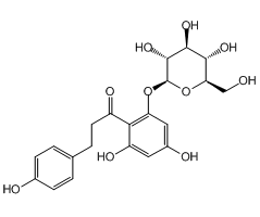 Phlorizin