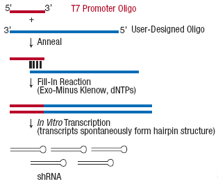 epicentre EC02T15 TransforMax? EPI300?-T1RͼƬ