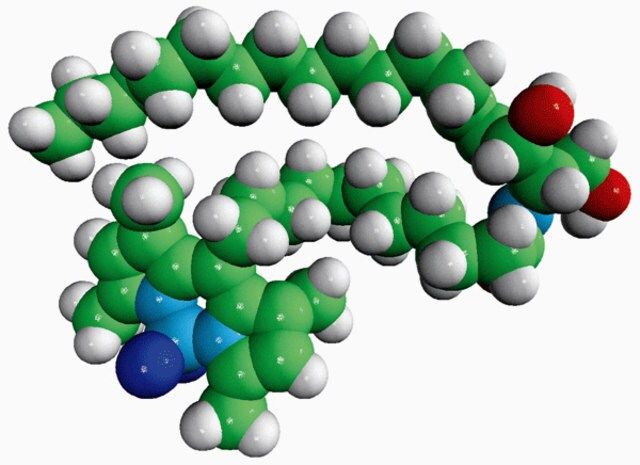 C11 TopFluor<sup>?</sup> Ceramide