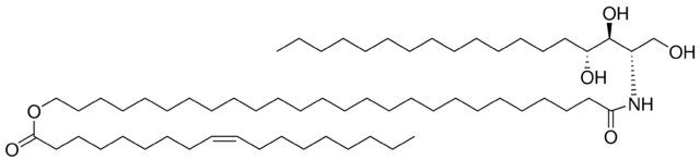CER9 (t18:0/26:0/18:1)