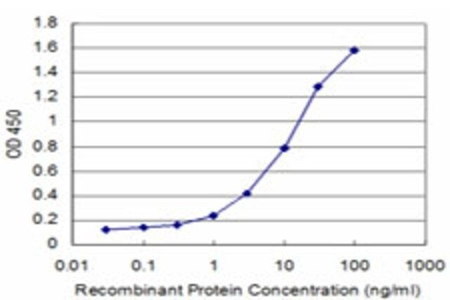 Monoclonal Anti-ALDH1A1 antibody produced in mouse