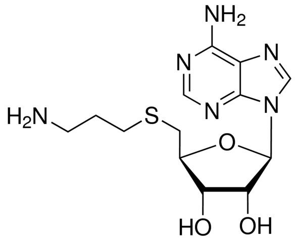 <i>S</i>-(5-Adenosyl)-3-thiopropylamine