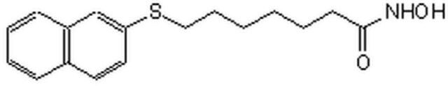 Histone Deacetylase Inhibitor VI, HNHA-CAS 926908-04-5-Calbiochem