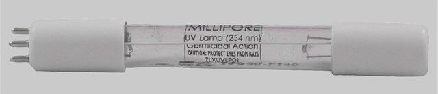 Bactericidal UV lamp